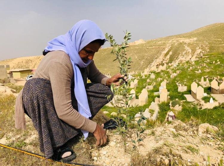 Women for Justice – Baumpflanzung in Shingal